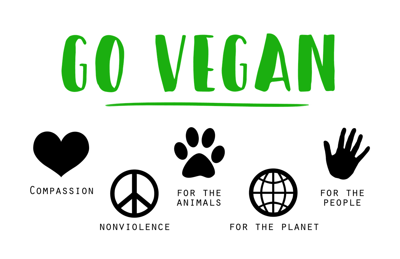 entdecken sie die welt des veganismus: vorteile, tipps für den alltag, leckere vegane rezepte und wie sie ein erfülltes, nachhaltiges leben ohne tierische produkte führen können.