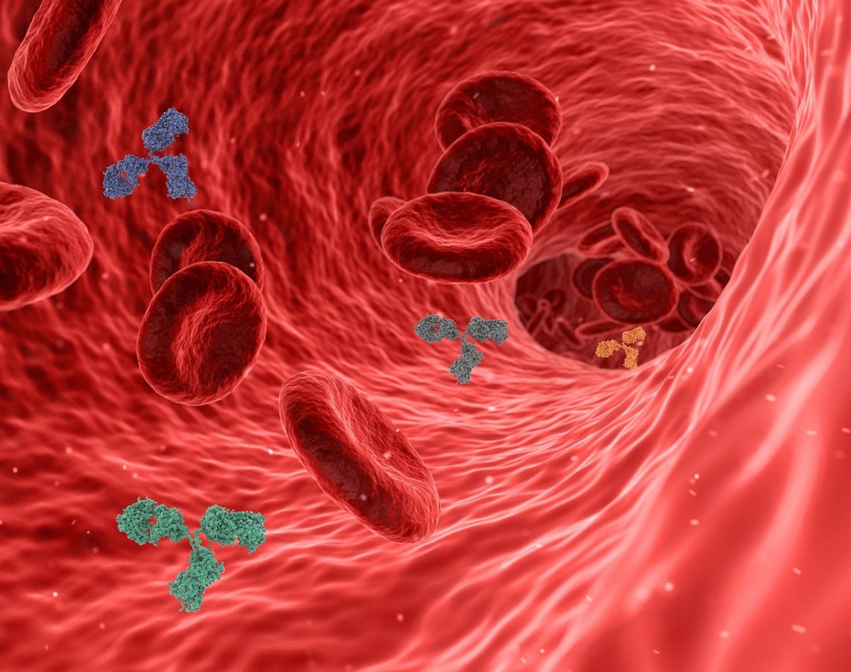 Welche Lebensmittel stärken unser Immunsystem natürlich?