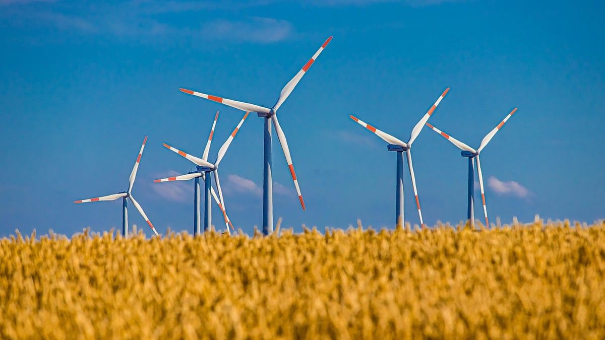 Wie funktioniert nachhaltiges Investment in der Praxis?
