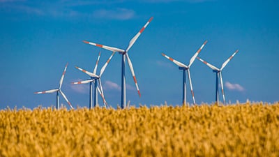 Wie funktioniert nachhaltiges Investment in der Praxis?